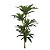 Dracena Real Toque Verde 1,25m - Imagem 1