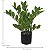 Planta Artificial Zamioculca Real Toque Verde 40cm c/pote - Imagem 8