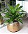 Árvore Artificial Dracena Real Toque x24 Verde Creme 90cm (Apenas a Planta) - Imagem 2