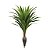 Árvore Artificial Dracena Garrafa Real Toque x37 Verde 1,2m - Imagem 1
