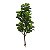 Árvore Artificial Ficus Lyrata Real Toque x96 Verde 1,7m - Imagem 1