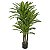 Árvore Artificial Dracena Real Toque Verde Creme 1,15m c/ pote - Imagem 1