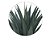 Folhagem Agave Plt. X48 (Verde) 90cm - Imagem 3