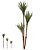 Palmeira Yucca 1,77m Planta Artificial - Imagem 2