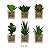 Kit Suculentas Verdes 6 Unid 10cm Alt Planta Artificial - Imagem 1
