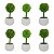 Kit Suculentas Verdes com 6 Vasos Brancos 15cm Planta Permanente - Imagem 1