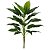 Planta Estrelícia Verde 1M Real Toque Árvore Permanente - Imagem 1