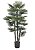 Palmeira Leque Real Toque Verde c/ pote Árvore Artificial 1,20m - Imagem 2