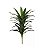 Planta Permanente Dracena Real Toque 1,8m (Apenas a Planta) - Imagem 1