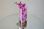 Arranjo de Orquídea no Vaso de Vidro Cilíndrico 30cm - Imagem 3