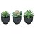 Kit Mini Suculenta 10cm c/ 3 Vasos cerâmica - Imagem 1
