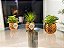 Kit Mini Suculenta 18cm c/ 3 Vasos cerâmica - Imagem 2