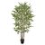 Bambu Permanente Real Toque c/ pote 1,90m x3300 - Imagem 1