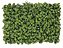 Placa Grama Artificial Muro Verde 60x40cm - Imagem 1