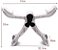 Multfuncional Wonder Arms Treino Biceps Triceps Peito - Imagem 2