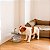 Bebedouro Fonte de Água para Pets Hidratação - Imagem 4