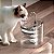 Bebedouro Fonte de Água para Pets Hidratação - Imagem 6
