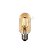 Lâmpada de Filamento LED T45 Squirrel Cage 4W Bivolt - Imagem 1