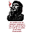 Camiseta Che Guevara Somos Companheiros - Imagem 3