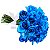 Buque 20 rosas azuis - Imagem 1