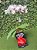 Mini Orquídea Love com lindt - Imagem 1