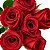 Buque Premium de 6 Rosas Nacionais Vermelhas - Imagem 4