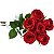 Buque Premium de 6 Rosas Nacionais Vermelhas - Imagem 1