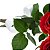 Buque Premium de 6 Rosas Nacionais Vermelhas - Imagem 3