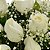 Luxuosa Cesta Com 36 Rosas Brancas - Imagem 2