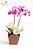 Luxuosa Orquídea Exótica - Imagem 1