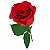 Rosa Colombiana Unitaria - Imagem 3