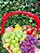 Caixinha de frutas - Imagem 1