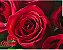 Buque 10 rosas Colombianaa Vermelhas Minimalista - Imagem 3