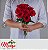 Buque 10 rosas Colombianaa Vermelhas Minimalista - Imagem 2