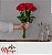 Buque 10 rosas Colombianaa Vermelhas Minimalista - Imagem 4