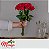 Buque 10 rosas Colombianaa Vermelhas Minimalista - Imagem 1