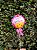 Balao Happy birthday ( feliz aniversario) - Imagem 1