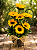 Harmonia de Girassol - Imagem 1