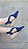 ESPADRILLE SALOMÉ MARINHO SALTO 3,5 CM - Imagem 4