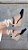ESPADRILLE ANABELA IVI PRETO SALTO 5,5 CM - Imagem 5