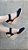 ESPADRILLE ANABELA VIENA PRETO SALTO 5,5 CM - Imagem 4