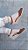 ESPADRILLE IVI CAFÉ SALTO 3,5 CM - Imagem 5