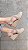 ESPADRILLE ANABELA SALOMÉ AMÊNDOA SALTO 5,5 CM - Imagem 4