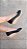ESPADRILLE  PEEP TOE PRETO SALTO 3,5 CM - Imagem 3