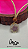 Colar Flor - Imagem 2