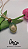 Colar Concha Verde - Imagem 1