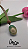 Colar Concha Verde - Imagem 3