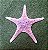 ESTRELA DO MAR - Imagem 1