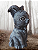 ORACLE CAT 10 CM - Imagem 2