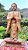 BUDA, escultura da Indonésia, madeira, 52 cm - Imagem 1